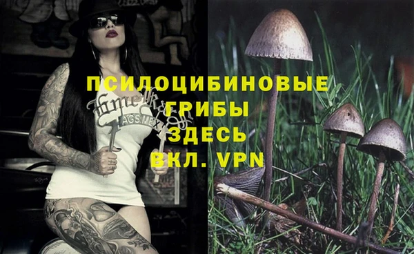 стафф Алексеевка