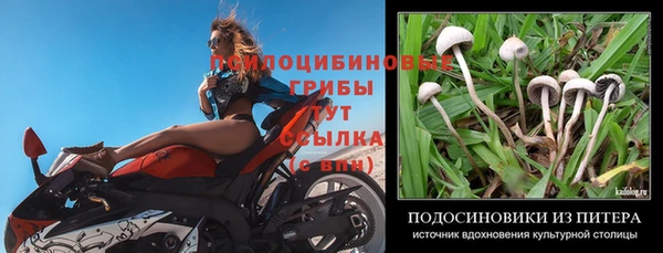 дурь Алзамай
