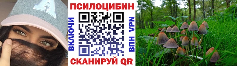 Галлюциногенные грибы мицелий дарнет шоп Курчалой